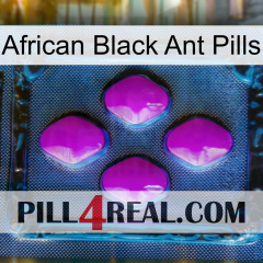 African Black Ant Pills 04